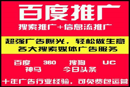 谷歌竞价广告在电商行业的运用案例
